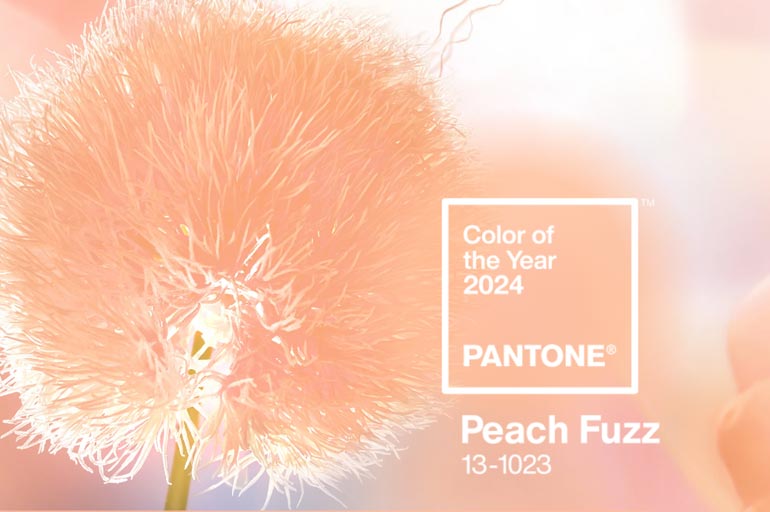 Conheça a cor do ano Pantone 2024: Peach Fuzz 13 -1023